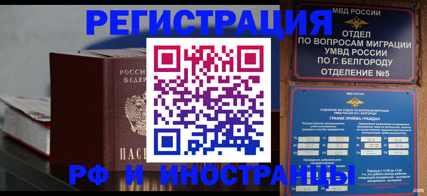 прописка 2025 в Дубне